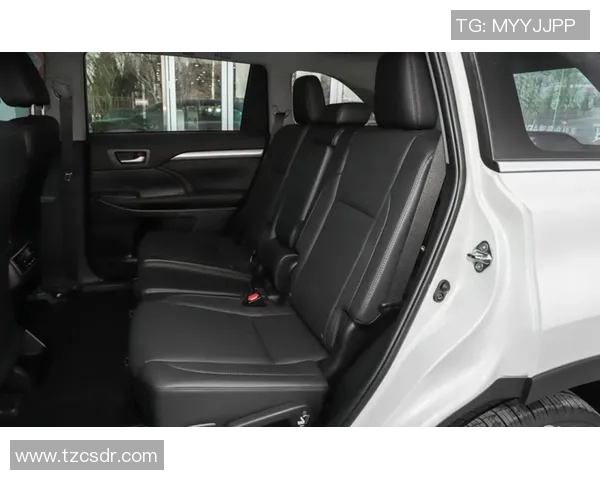 技术统计：维尼修斯近5场表现一览